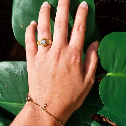 Kingdom of unification Ring | Mondstein - Amethyst | Größenverstellbar