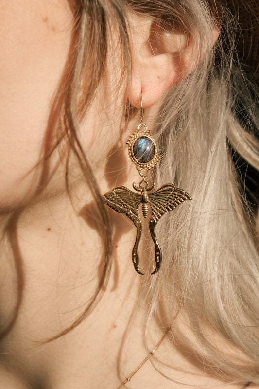 Magical Moth Labradorit Ohrringe | Gold & Silber | Edelstahl